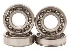 Hot Rods Counter Balancer Kit Yamaha Raptor